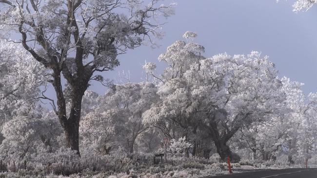 Stunning images of a wintry Central Highlands. Image: Gill Dayton/ Tassie Apple Spice photography.