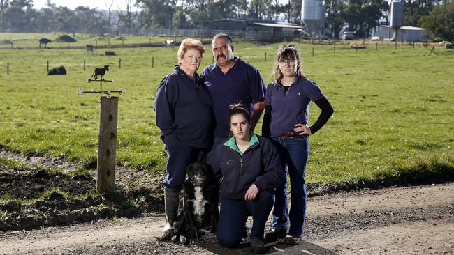 Vic and Debbie Guastella, with daughters Emmah, 21, and Leesa, 15, at their Hallora farm, where they lost 20 cows after feeding the herd what they say was