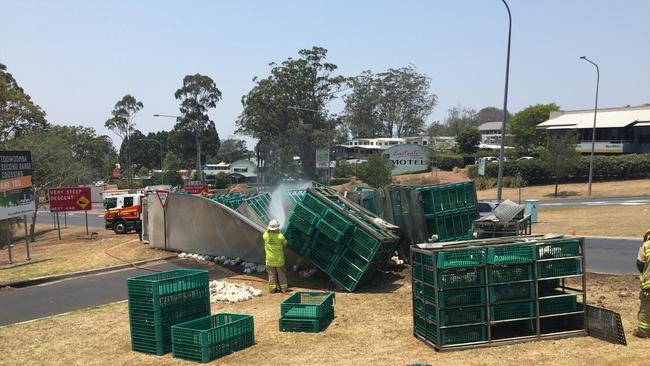 Hundreds of chickens were killed or injured when a truck carting them rolled at the top of the Toowoomba Range at about 10.40am, November 21.