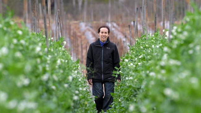 Horsley Park is currently home to generations-old farming land, including Sun's Fresh Farm. It is unclear if these farms fall under the areas proposed for redevelopment. Picture: Simon Bullard