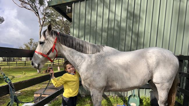 Classique Legend at Kerrin McEvoy's farm.