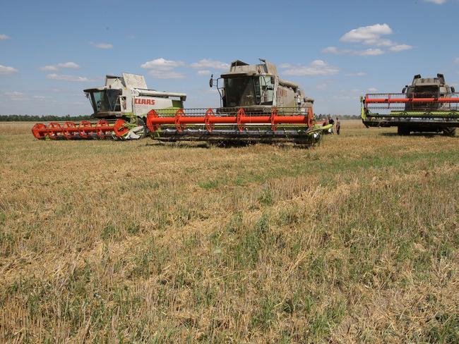 GrainCorp shares soar as wheat trade tightens