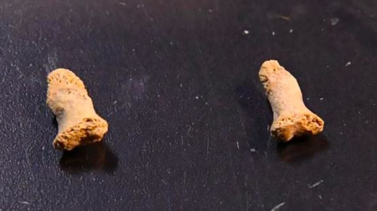 A photo of two Neanderthal child bone fragments said to be the oldest found from the species in Poland. Picture: Professor Paweł Valde-Nowak