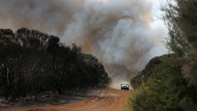 A plume of bushfire smoke in Karatta, Kangaroo Island. Picture: Lisa Maree Williams / Getty Images