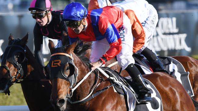 Invincible Gem is great value in race 9 at Caulfield. Picture: AAP