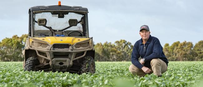 Scott Young of Ferleigh Park has spent years working to improve soil pH across the farm. Picture: Zoe Phillips