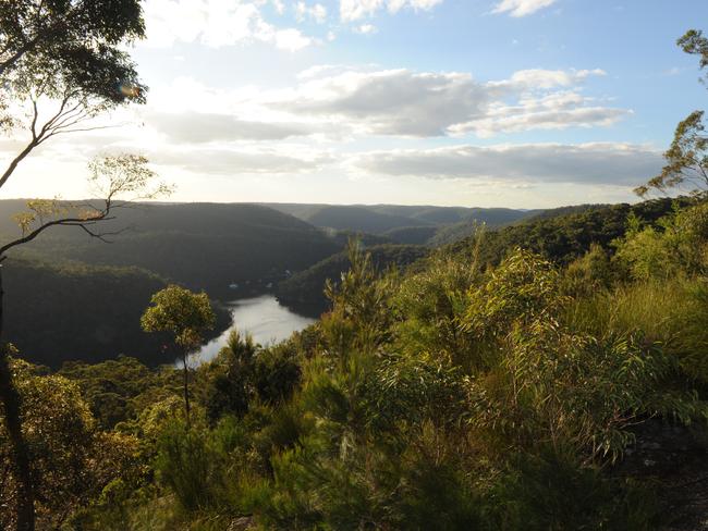 Berowra Valley National Park.