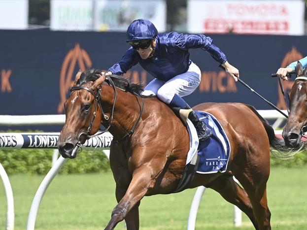 Learning To Fly wins the Group 2 Reisling Stakes at Randwick in 2023. Picture: Bradley Photos