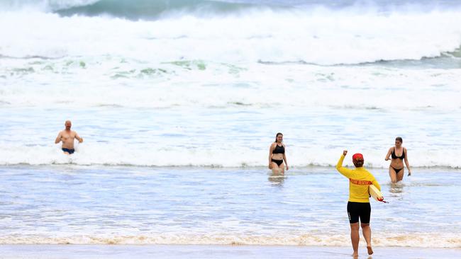 From November to May, Queensland beaches from Bustard Heads to Port Douglas will be home to several species of dangerous marine stingers, including the box jellyfish and the Irukandji. Pics Adam Head