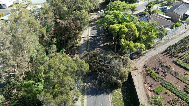 “Before" picture at Crystal Reef Drive, Coombabah, showing damage from the Christmas Day storm. Picture supplied by Rapid Relief Team Australia (RRT Australia)