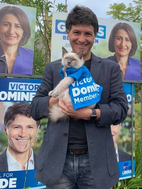 Victor Dominello with a purrr-fect little partner at prepoll. Picture: Facebook