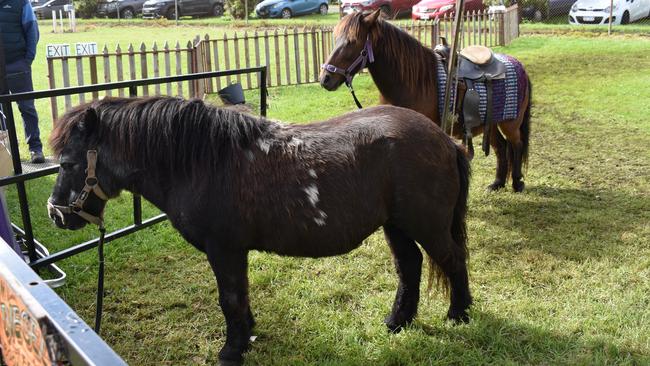 Pony rides at the Warrnambool Show.