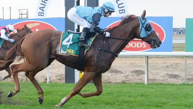 Superset was a cut above winning a Benchmark 58 at Bairnsdale four starts ago. Picture: Ross Holburt / Racing Photos