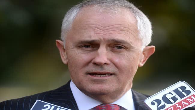 Turnbull wins leadership ballot