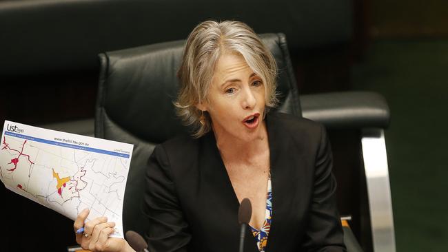 Greens MP Rosalie Woodruff during question time in state parliament. Picture: Zak Simmonds