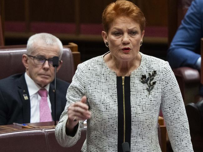 One Nation Senator Pauline Hanson. Picture: Martin Ollman/NCA NewsWire