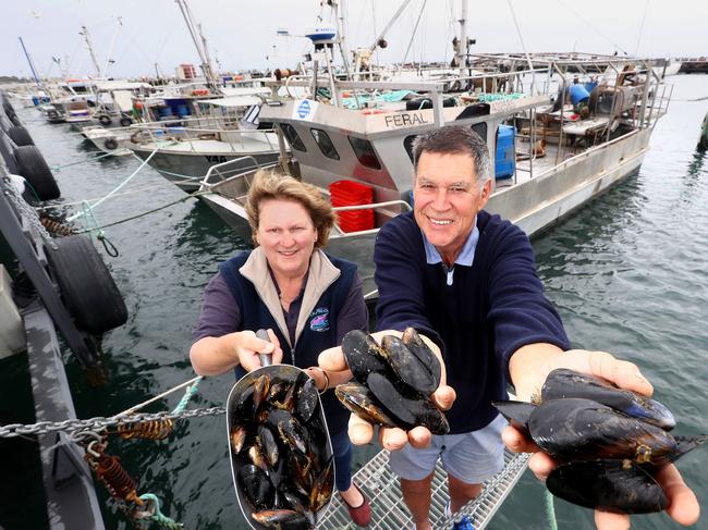 The annual Portarlington Mussel Festival would have been held this Saturday, but was called off in June. Now there is an abundance of mussels in town and suppliers are hopeful of tourists to eat up their supplies. Jennifer Gallop (Festival Vice-President) and Richard Underwood (Festival President) with some Mussels at the Portarlington Harbour.picture: Glenn Ferguson