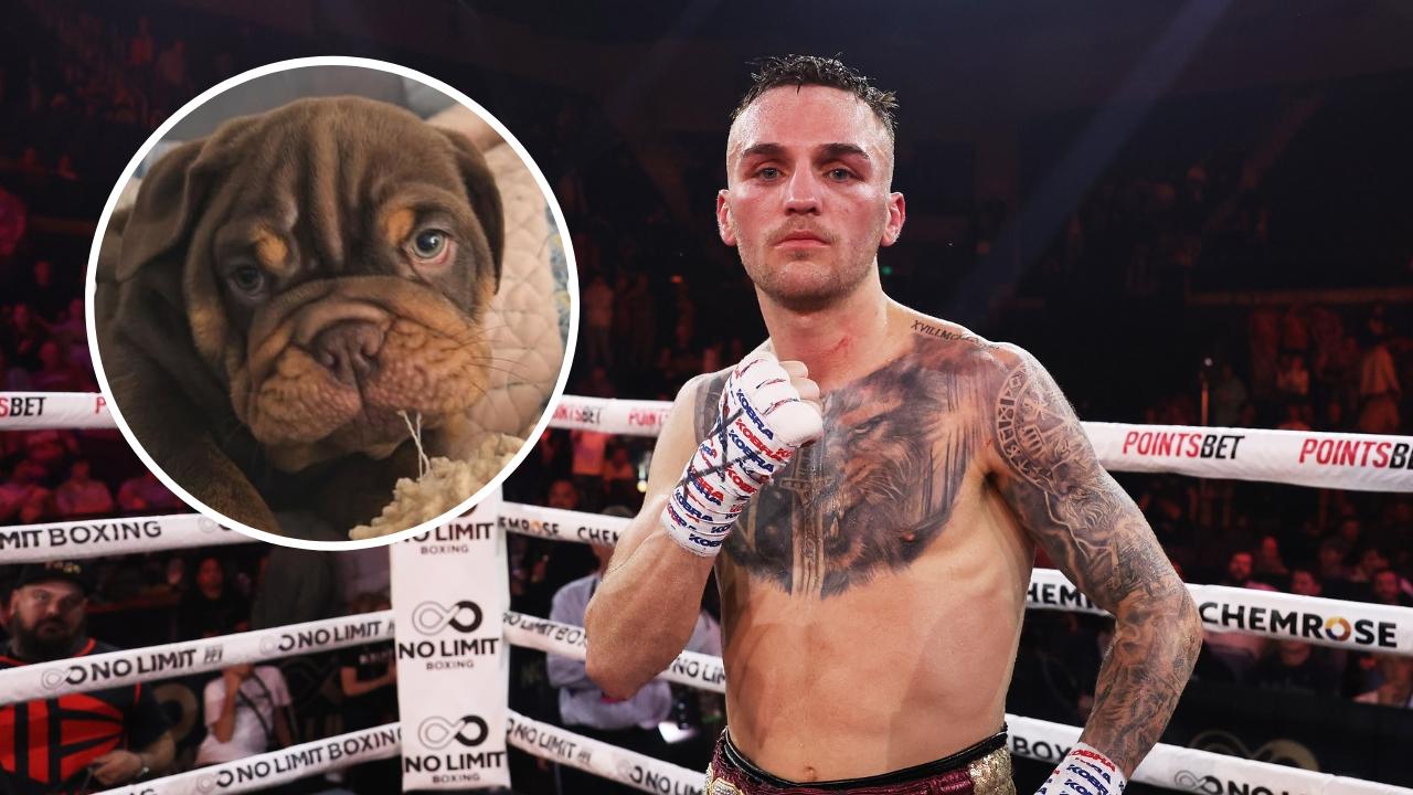 From million-dollar fights to stealing dog food to get by