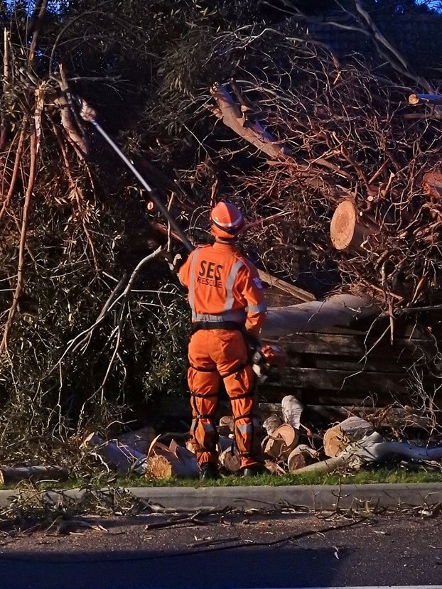 Trees have cause significant damage in Mordialloc. Picture: SES Chelsea Unit