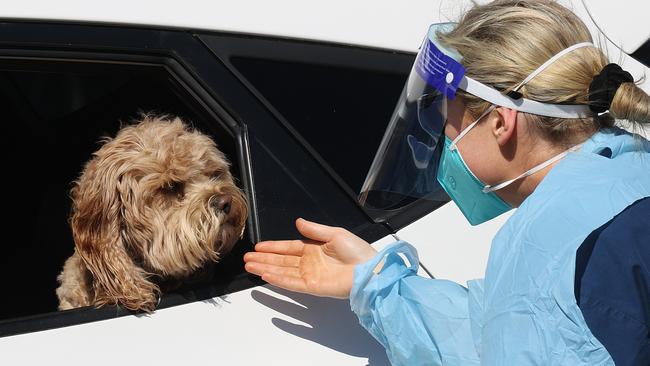 Nurse Sorcha Thornton at the St Vincent’s Covid Clinic in Bondi. Picture: Dylan Coker