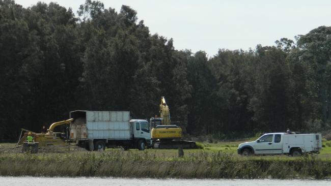 Images show trees being chipped as an excavator sits nearby.