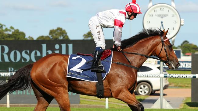 Les Bridge is keen to back-up Irish Legend from his win last weekend depending on the track condition. Picture: Getty Images