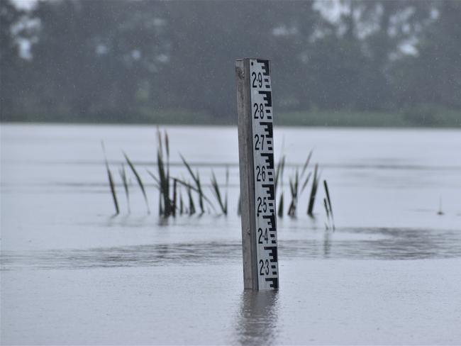 The Clarence River exceeded the 2.1m minor flood level at Grafton in the early afternoon on Wednesday, 16th December, 2020. Photo Bill North / The Daily Examiner