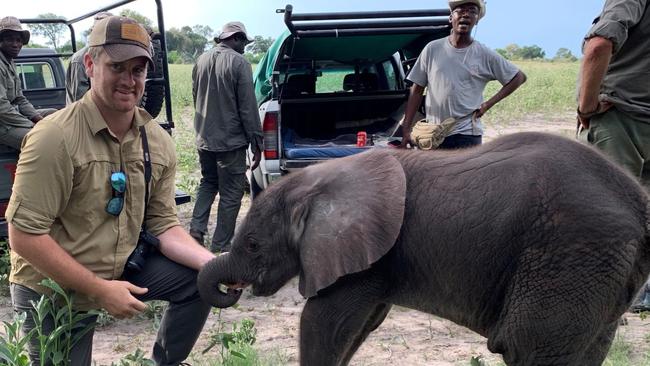 Matt James of Colossal Biosciences said Asian elephants were having fewer interactions with elephants from outside their own herds. Picture: Colossal