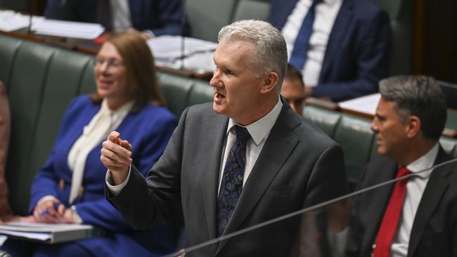 Tony Burke thanks David Pocock and the Greens for helping pass the reform laws. Picture: NCA NewsWire / Martin Ollman