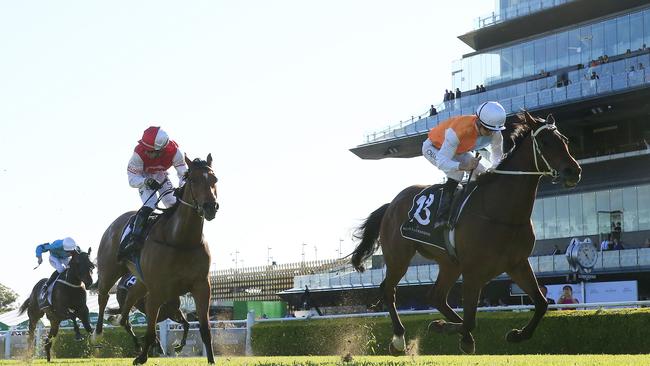 Montefilia powers to the line to hold out Lion’s Roar and Bucharest.