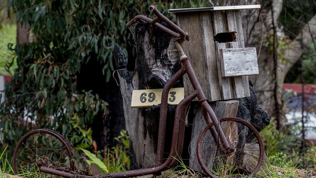 Re-growth  along Timbarra Rd in Beechmont, one year on from the bushfires in 2019 that destroyed the the  Binna Burra Mountain Lodge and houses in the area.  Picture:  Jerad Williams