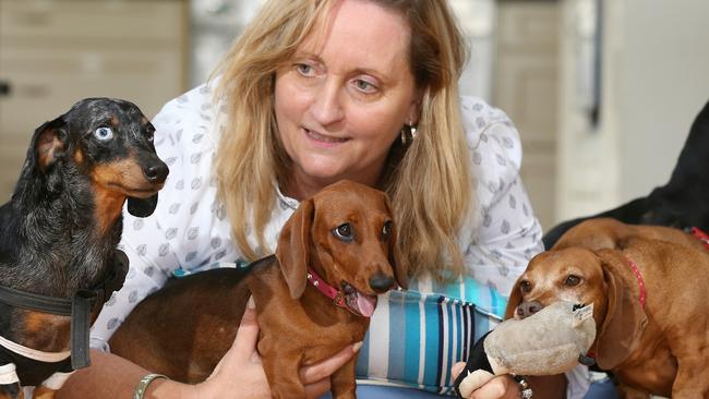 Lisa-Jayne Cameron with dachshunds Krumm, Betty and Nanook. Picture Glenn Hampson