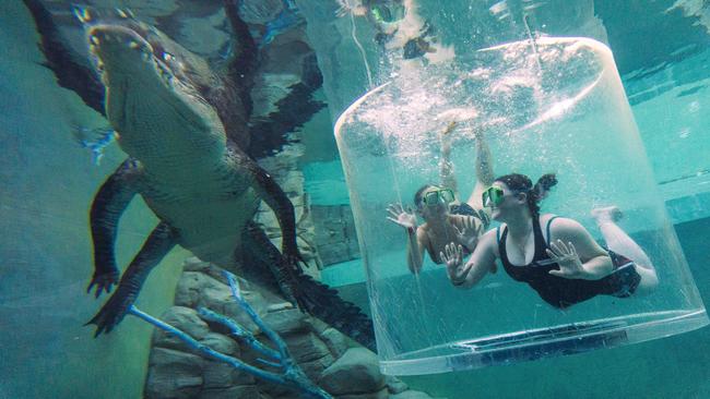 Taylah Matthews and Casey Hunt in the Crocosaurus Cove “Cage of Death” in Darwin. Picture: Jenni Collier