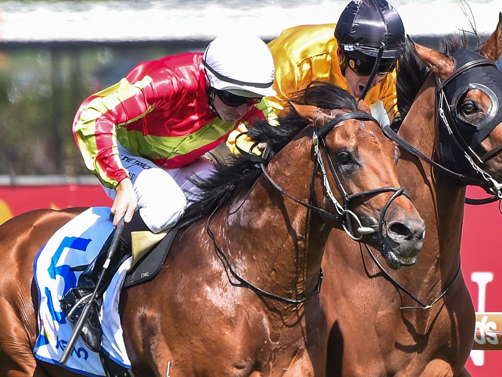 Victoria Racing | Horse Racing News, Form Guides & Results | news.com ...