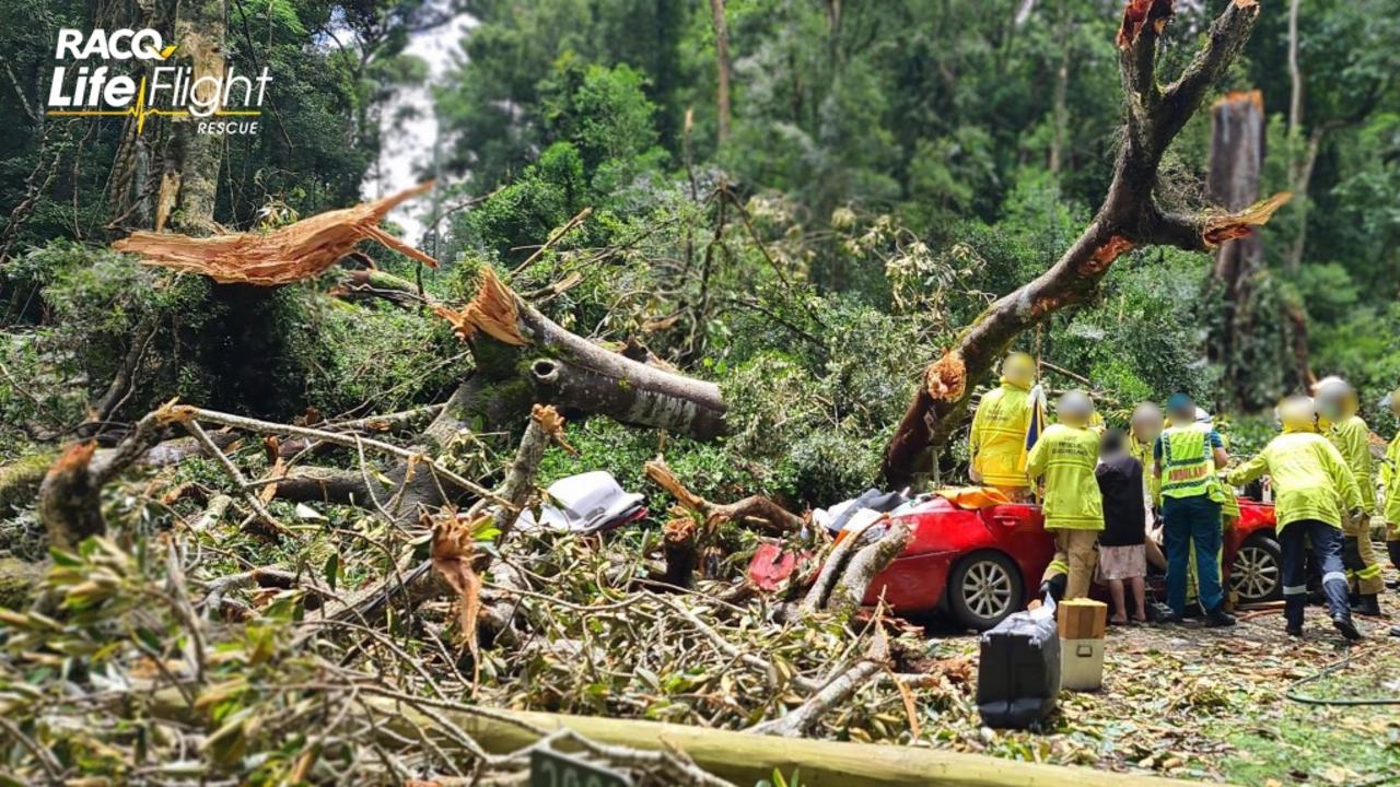 A man has been flown to hospital after a large tree fell and crushed his car. Photo: Lifeflight