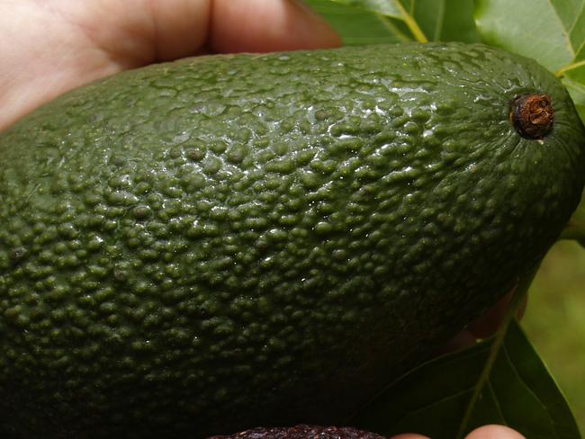 The man allegedly tried to stuff an avocado down his pants.