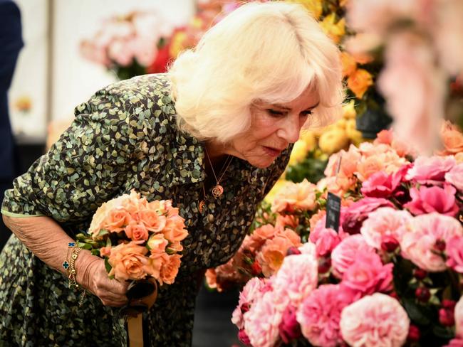 Queen Camilla looks at a flower display during a visit to Sandringham Flower Show at Sandringham House. Picture: Getty Images