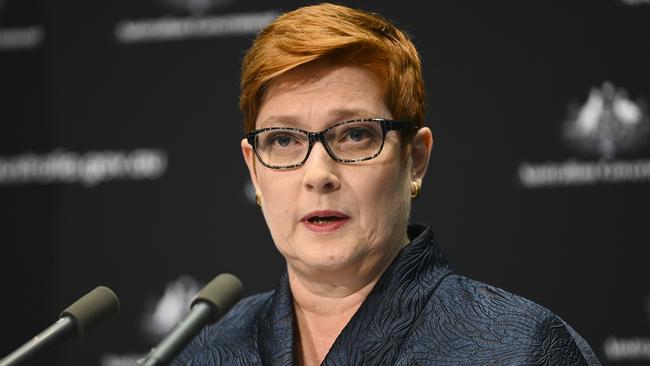 Women’s Minister Marise Payne is providing relief to new mums who have lost their jobs. Picture: AAP Image/Lukas Coch