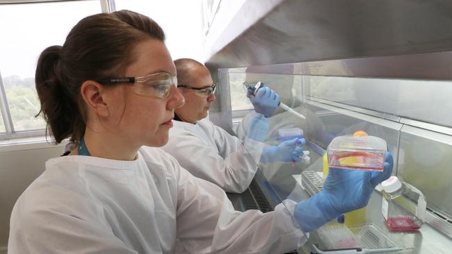 Scientists at work in the CSIRO's high-containment facility in Geelong. (Picture: AAP)