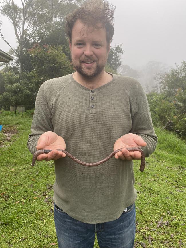 Toowoomba resident Angus Young with a massive earthworm found in his Blue Mountain Heights home following days of rain in Toowoomba.