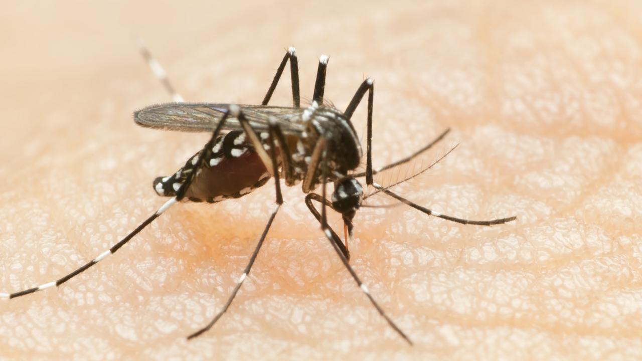 Health workers visit remote island following malaria outbreak
