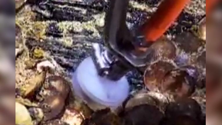 SS Republic Gold Coin recovery