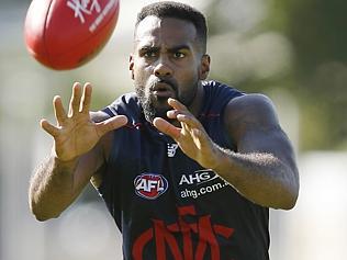 Melbourne training at Gosch's Paddock.