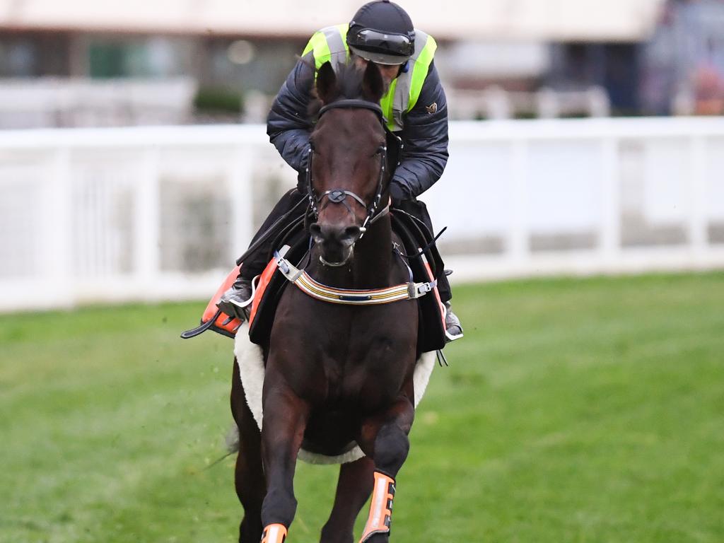 Damien Oliver rides Mustajeer during a trackwork session.