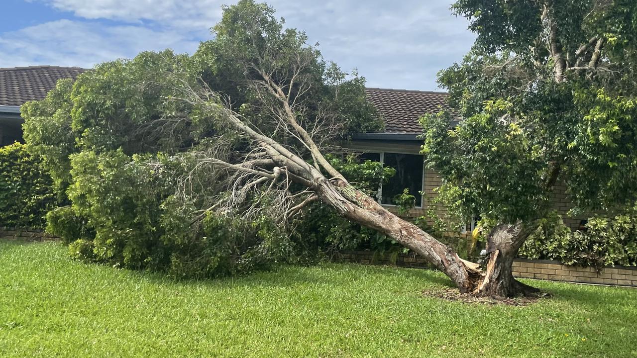 Tony and Jan Bell from Mount Pleasant got a shock on Christmas Day when they went outside after a freak storm and saw a tree in their front yarn had fallen onto their house. Picture: Janessa Ekert