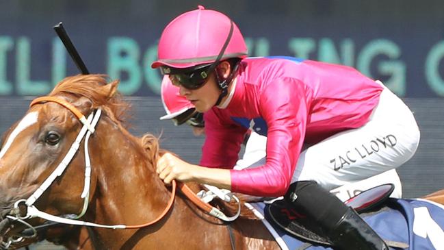 Top apprentice Zac Lloyd rides Black Iris on Thursday. Picture: Getty Images