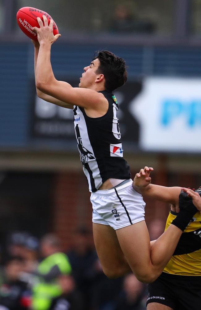 A familiar sight in the VFL: Marty Hore marking at half back for the Maggies.