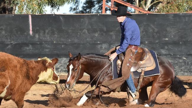 Face off: Jamie Creek on Magicool at the Pretty Pine cutting event. Picture: SALLY H