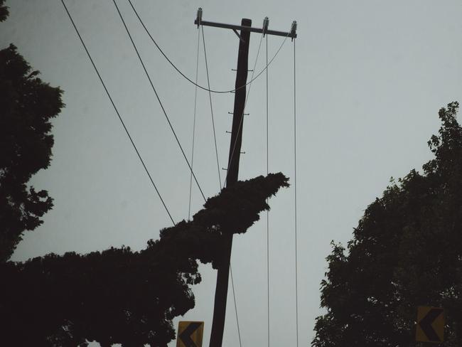 BYRON BAY, NSW, AUSTRALIA - NewsWire Photos - MARCH 7, 2025: Trees threatening powerlines in the Byron Bay Honterland as a result of heavy rain brought by Cyclone Alfred .Picture: NewsWire / Glenn Campbell