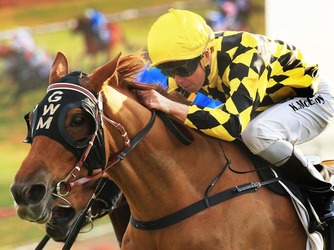 Dance Of Heroes salutes at a Canterbury midweek meeting this year. Picture: Mark Evans